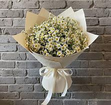 Букет цветов из:  Ромашки в Преображение