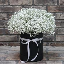 Цветочная композиция из Гипсофила в шляпной коробке в Преображение