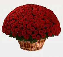 Премиум букет из: Розы в Преображение